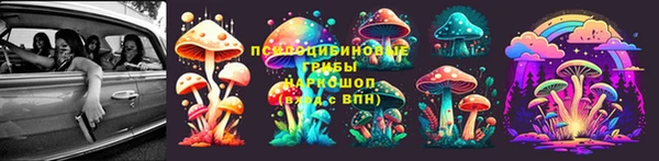 прущие грибы Алексеевка