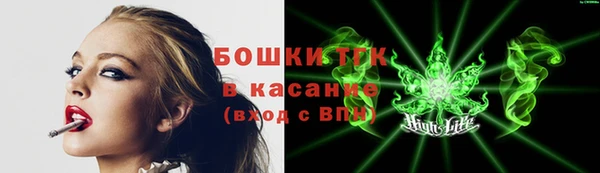 прущие грибы Алексеевка