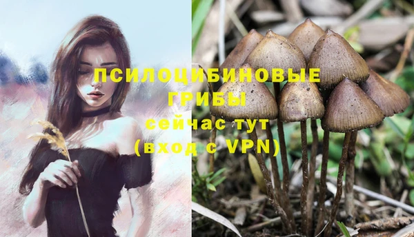 синтетический гашиш Алапаевск