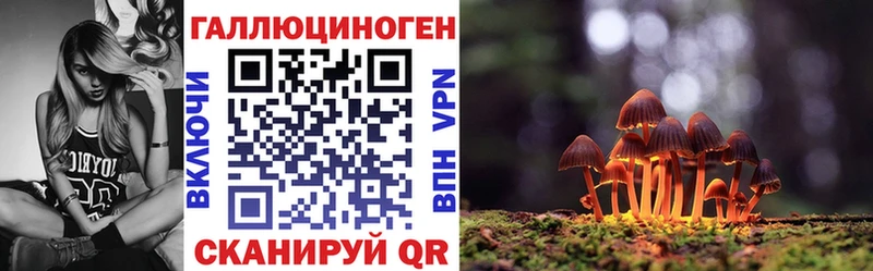 Галлюциногенные грибы мицелий мориарти как зайти Балашов